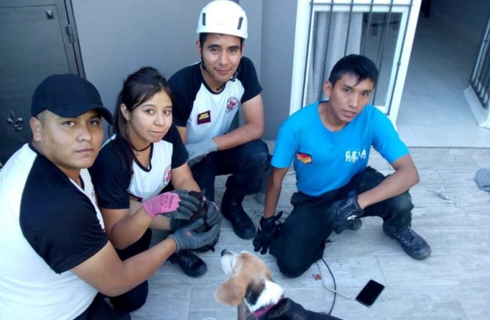 La fundación GERA busca voluntarios en Salta