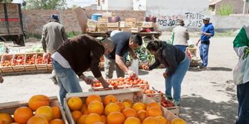 Robo en verdulería\u002E (web)