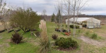 Impulsan una renovación del vivero Municipal que permitirá producir el 100% de las especies forestales de la ciudad (Municipalidad de La Plata)