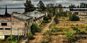 frigorifico concordia