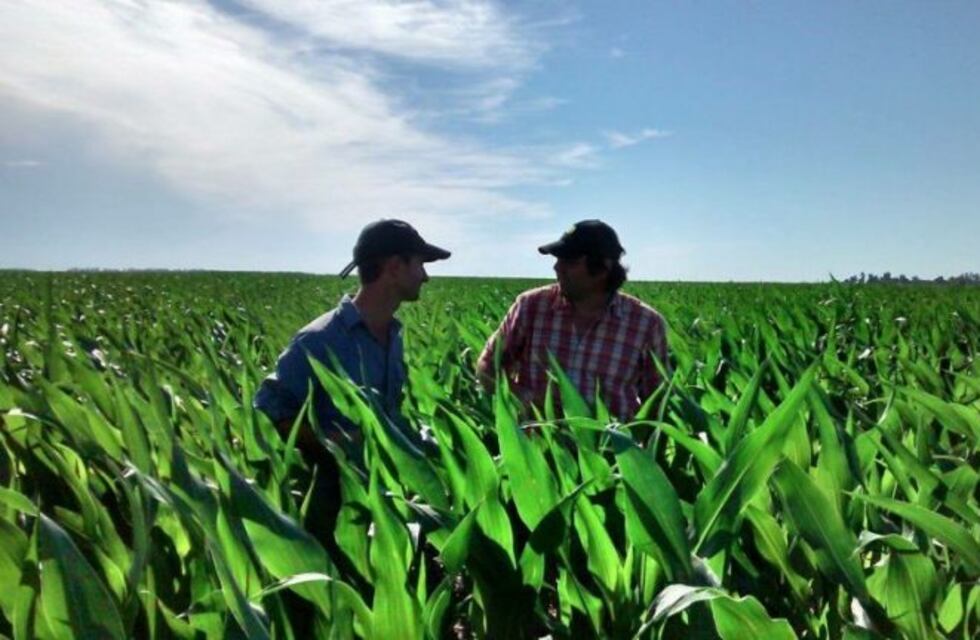 Especialistas agrónomos disertarán en Entre Ríos sobre conservación de suelos