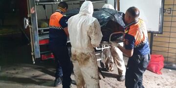 Caso Marotti, Tucumán