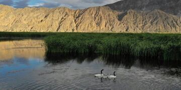 El 25% del territorio de San Juan está bajo conservación\u002E