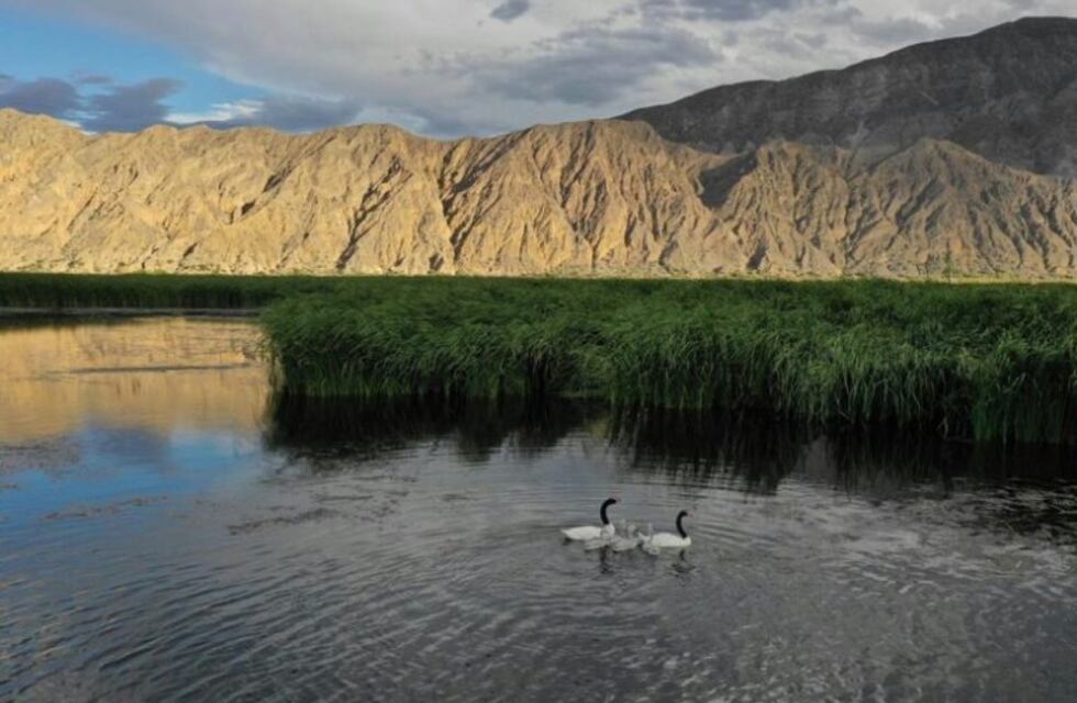 Las reservas naturales en San Juan que podés conocer gratis