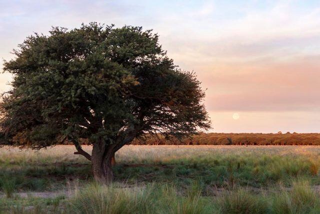 Caldén (fotocommunity)