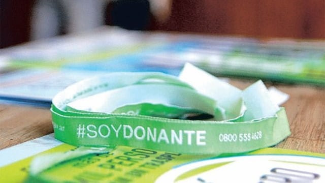 Donante de órganos