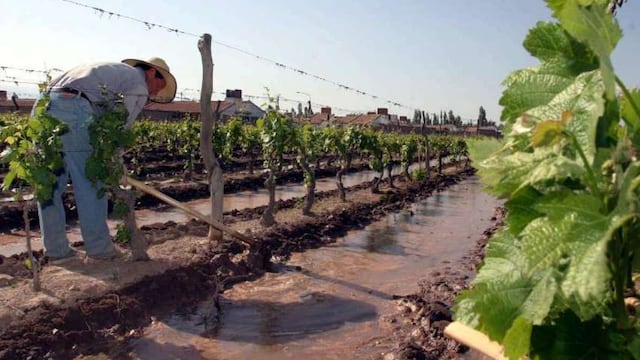Riego a demanda y acordado para Mendoza