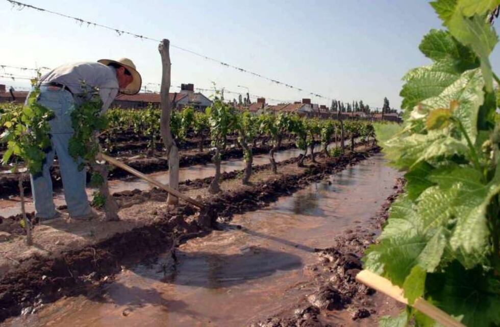 La mejor manera de optimizar el manejo del sistema suelo-planta