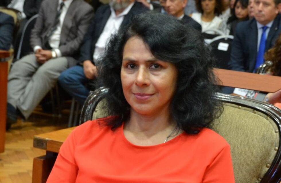 La diputada Navarro respondió al video de Carolina Moisés sobre La Esperanza