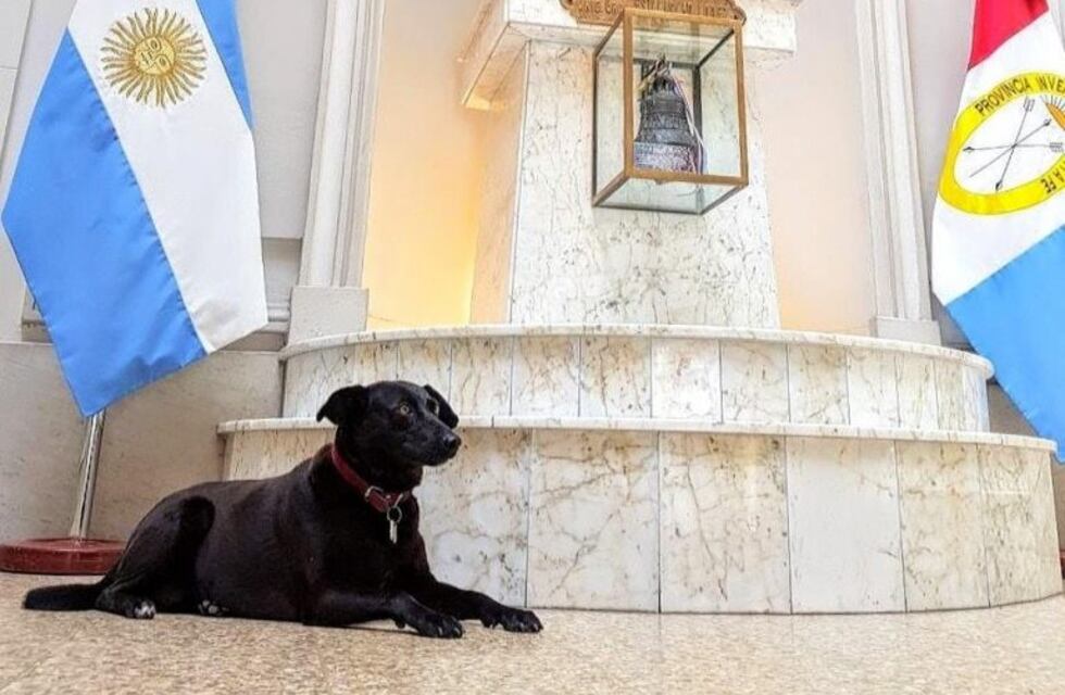 Homenajearon a "Negrita", la perra de la Casa de Gobierno de Santa Fe