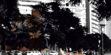 Son diez obras de gran tamaño realizadas en bronce, mármol de carrara, piedra cordobesa y piedra de Misiones\u002E