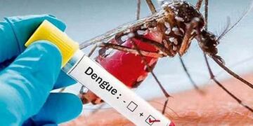 Prevención Aedes aegypti -\nCrédito: Web