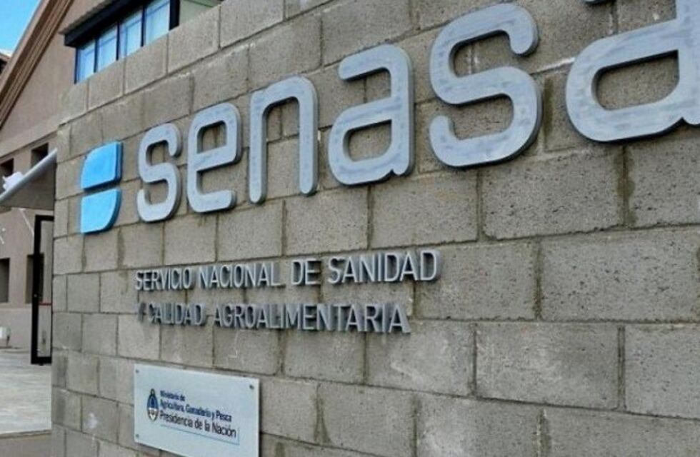 El Senasa se ajustó y ahora negocia reincorporaciones