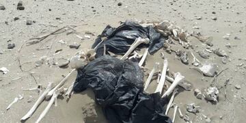 Los restos ya habían sido identificados por el CONICET\u002E