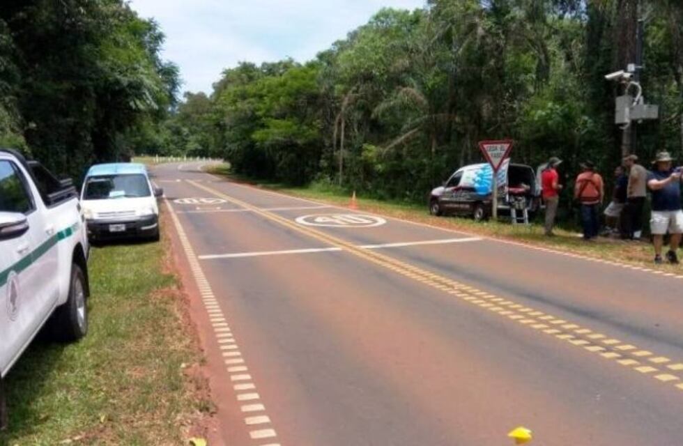 Colocan radares de velocidad sobre rutas del Parque Nacional Iguazú