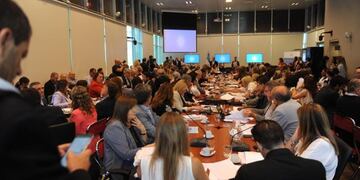 Se debaten en un plenario de comisiones las nueve emergencias que propuso el Gobierno de Alberto Fernández\u002E (Federico López Claro)