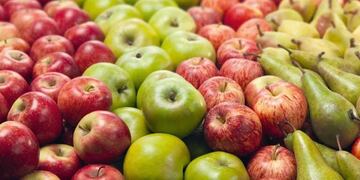 Las exportaciones de frutas de Río Negro y Neuquén crecieron 13 por ciento