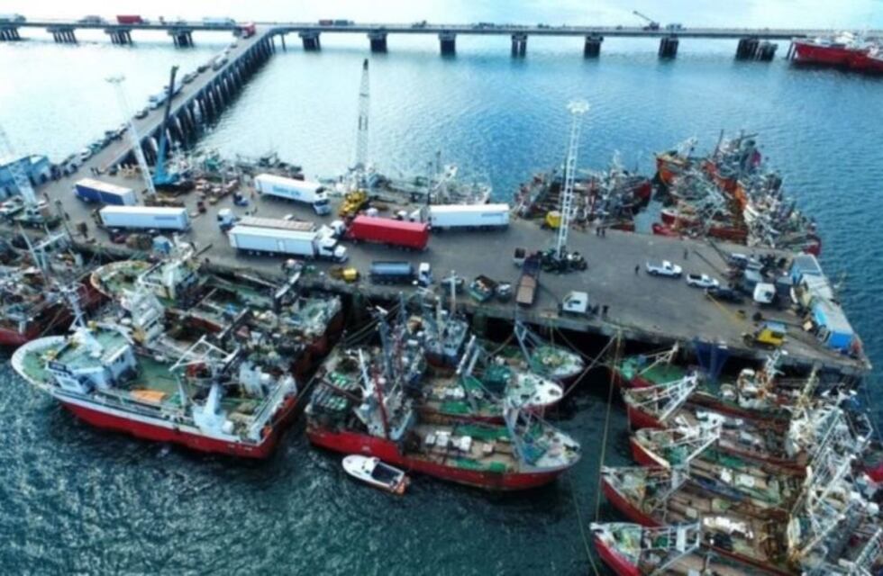 La provincia incrementó las descargas por la pesca en los puertos