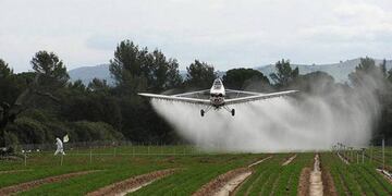 "No hay jueces contra el campo", afirmó el presidente del STJ en Paraná