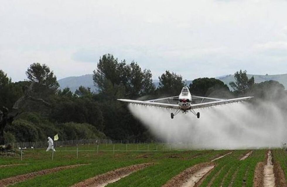 "No hay jueces contra el campo", afirmó el presidente del STJ en Paraná
