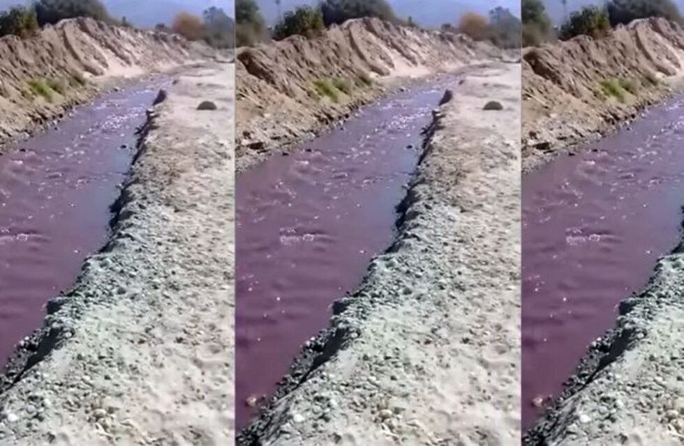 Un río de vino tinto corrió por Cafayate