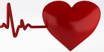 CAPACITACION DEL CORAZON