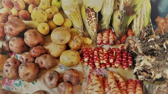 Productos naturales de Jujuy que propician una alimentación saludable y nutritiva