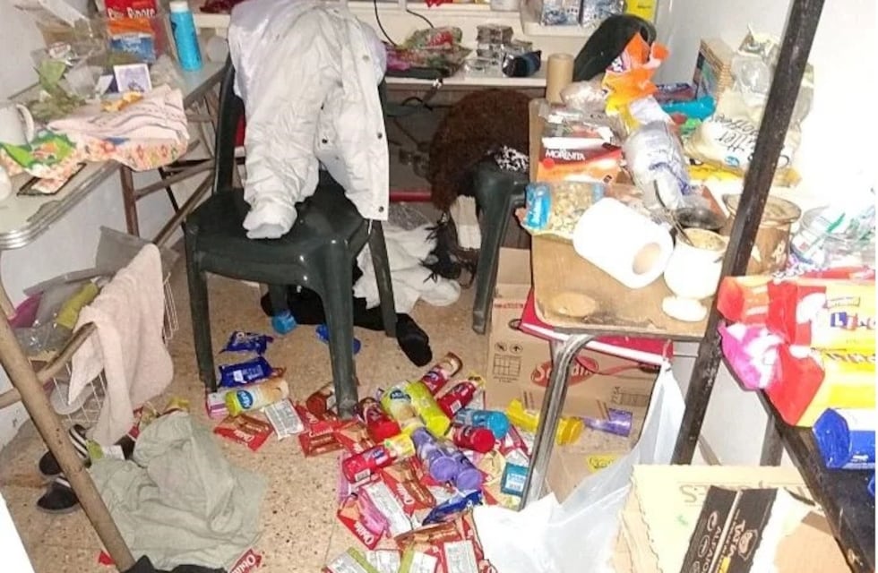 Robó, lo atraparon, quedó libre y volvió a robar en el mismo lugar