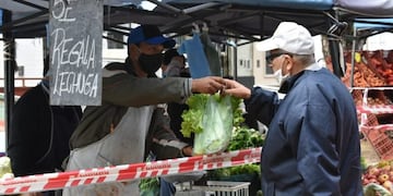 Edgardo José Gomez es el productor que decidió regalar Lechuga\u002E