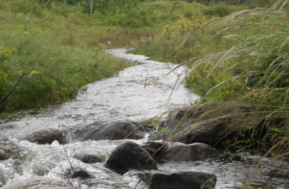 El video de rechazo a la cantera que se viralizó