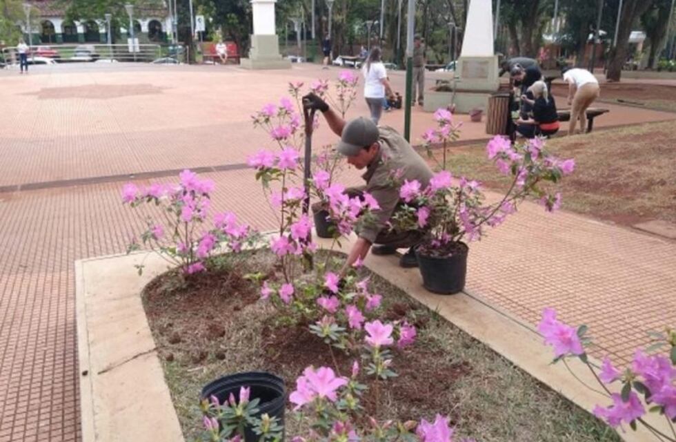 Día Mundial del Turismo en Iguazú: organizan diversas actividades en conmemoración a la fecha