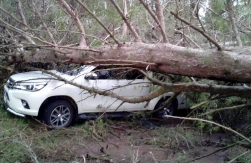 Brutales consecuencias de la fuerte tormenta que azotó La Pampa