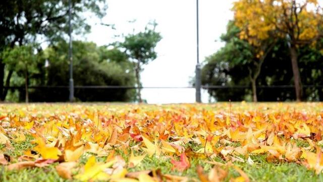 La jornada empezó con condiciones típicas del otoño en la ciudad.