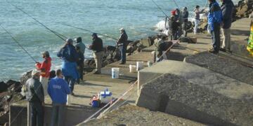 Desbarataron una organización dedicada al contrabando de productos pesqueros en Mar del Plata