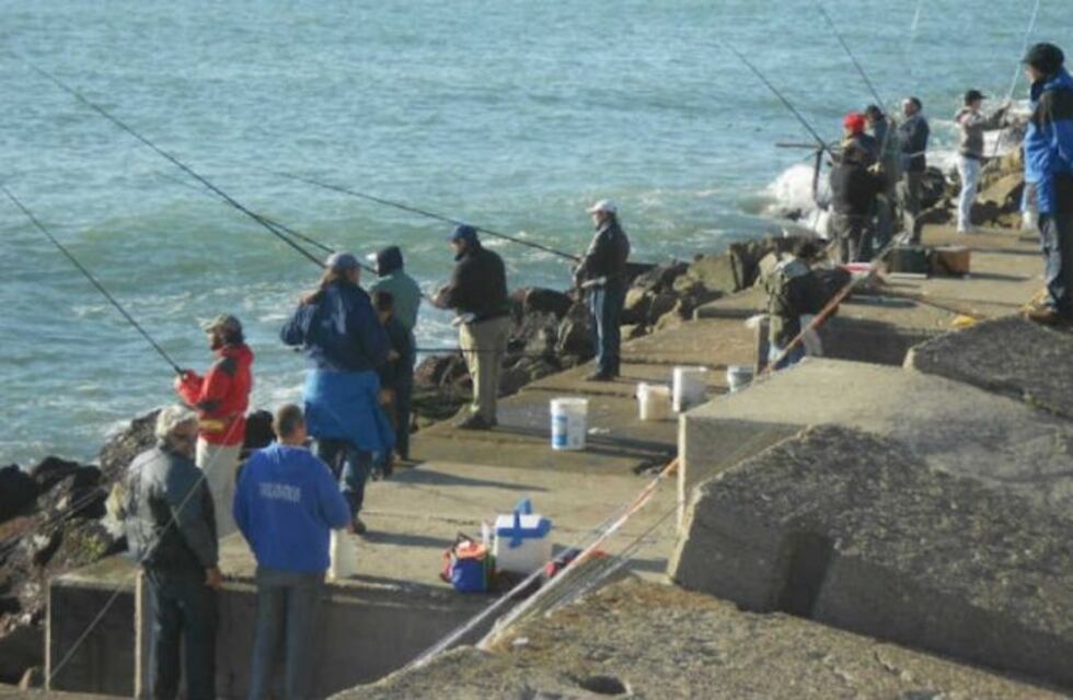 Desbarataron una organización dedicada al contrabando de productos pesqueros en Mar del Plata