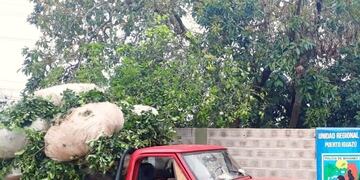 La camioneta fue incautada y sus ocupantes detenidos\u002E