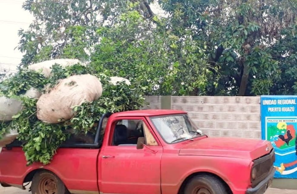 Incautaron otro cargamento de yerba mate, esta vez en Puerto Esperanza