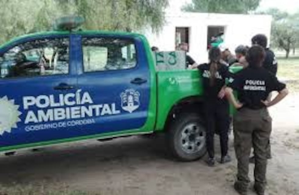 La policía ambiental confiscó un gato montés en Monte Buey