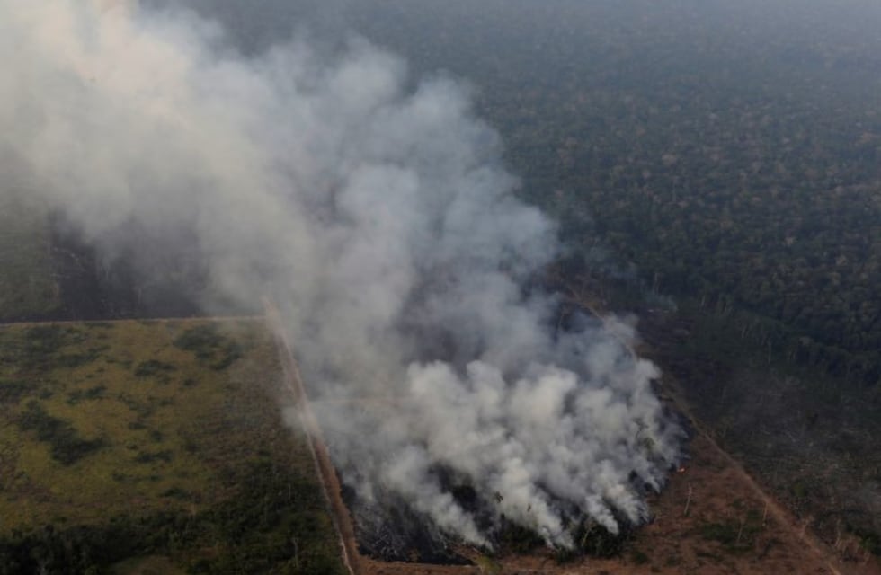 Incendios en el Amazonas: de Úrsula Corberó a Leo Di Caprio, los famosos comparten mensajes de concientización