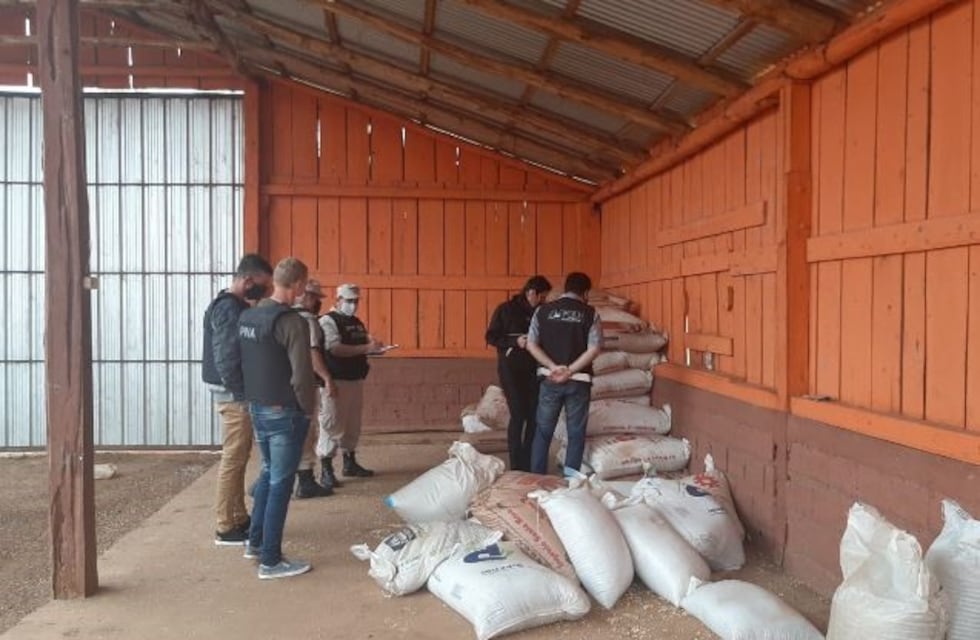 Secuestran seis toneladas de soja lista para la exportación ilegal en Alba Posse