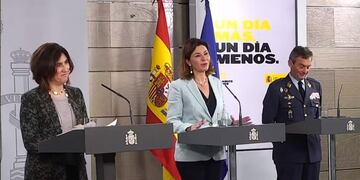 Captura de la señal institucional del Palacio de la Moncloa de la jefa de área del Centro de Coordinación de Alertas y Emergencias Sanitarias del Ministerio de Sanidad\u002E (EFE)