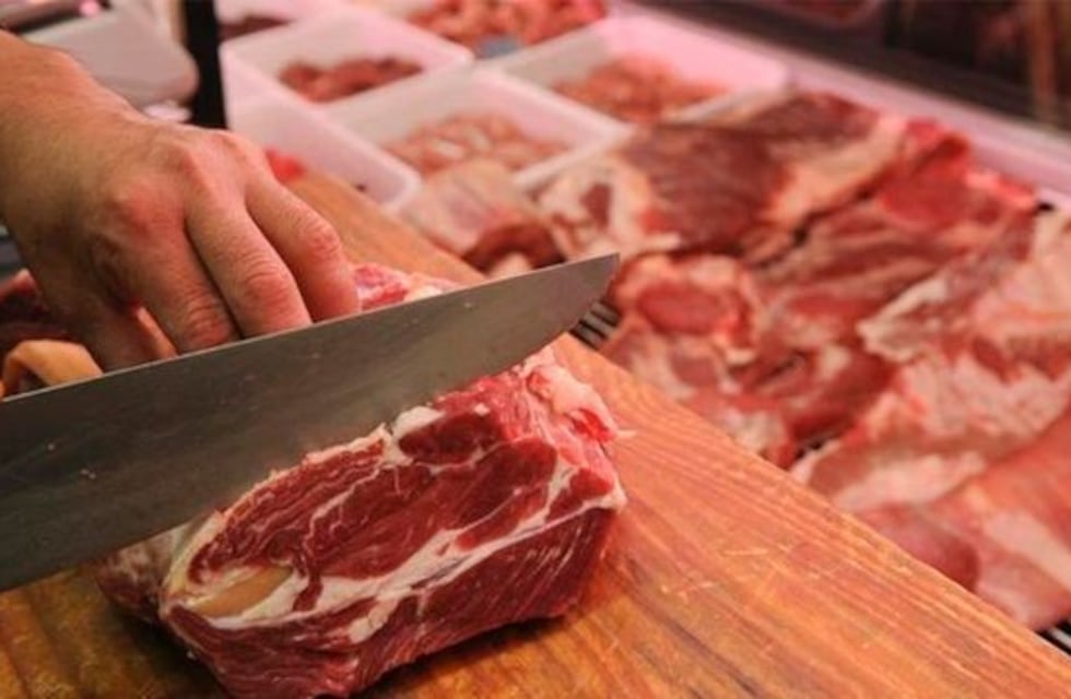 Aspectos nutricionales de la carne bovina