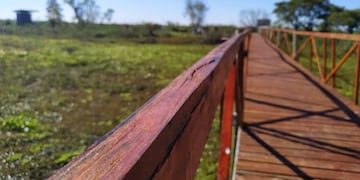 La reserva Los Tres Cerros, administrada por la Municipalidad de Rosario, comienza a recibir contingentes de visitantes\u002E (Prensa Municipio)