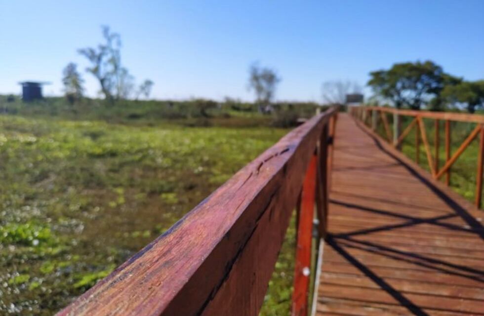 Vía Rosario cruzó el Paraná y te muestra cómo es la reserva "Los Tres Cerros"