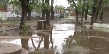 La escuela debió suspender las clases y se realizan tareas para retirar el agua y el árbol caído\u002E
