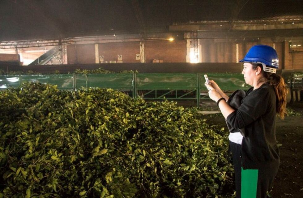 Narda Lepes visitó Misiones para conocer los sabores de la yerba mate