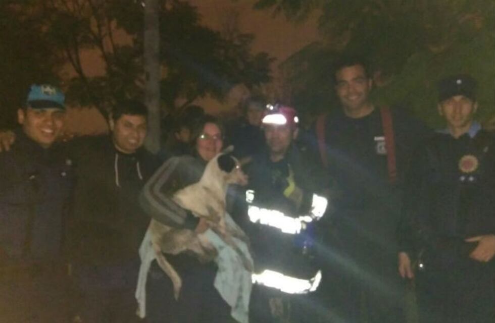 Rescataron a un perrito que había caído a una alcantarilla