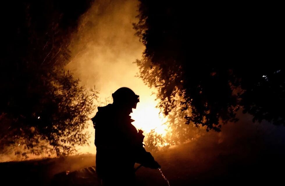 Chile pidió ayuda internacional para combartir los incendios forestales: ya hay 23 muertos
