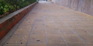 Las cenizas cubrieron la ciudad y el humo continuará mientras duren las quemas