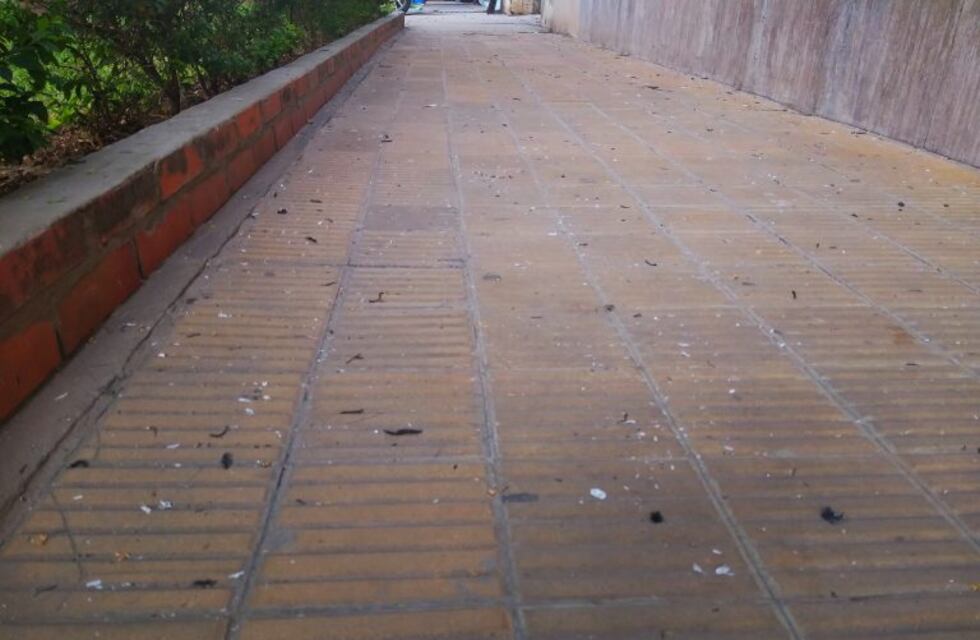 Después de varios días de humo llegaron las cenizas a la ciudad